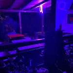 Aurora Glamping 2*