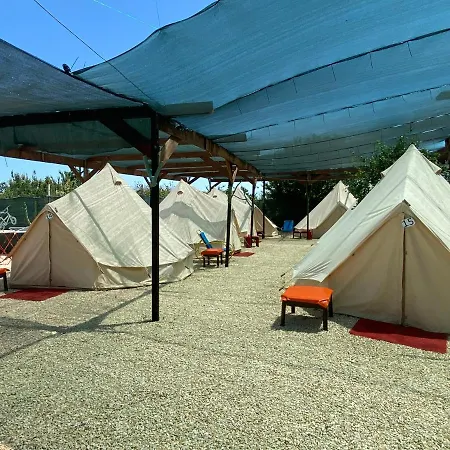 Aurora Glamping 2*
